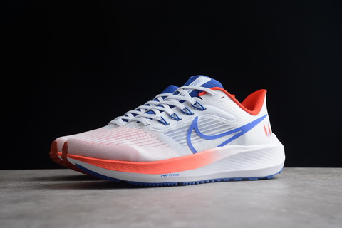 Nike Air Zoom Pegasus 39-1